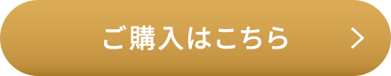 スポンジ