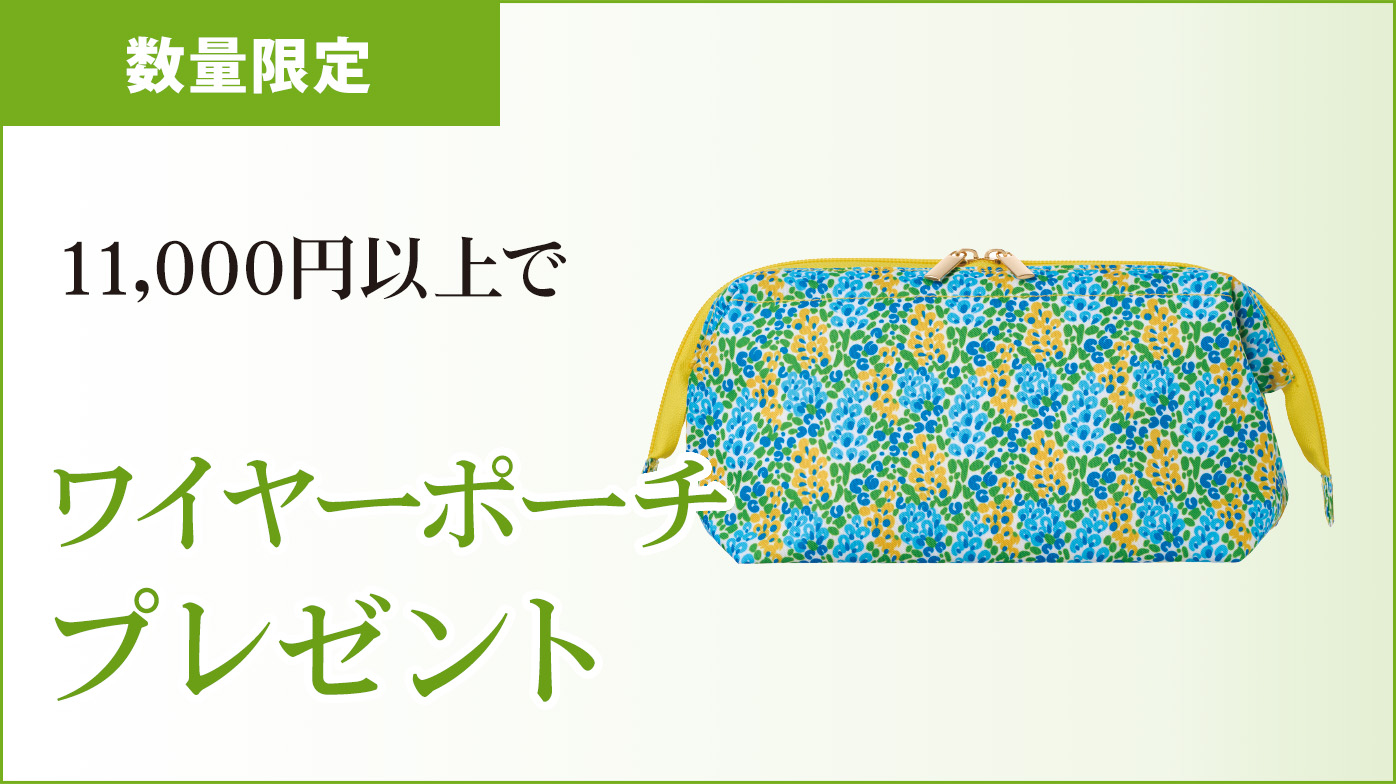 ワイヤーポーチ プレゼント