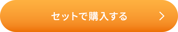 お徳用 イデアモイストローション ２本セット
