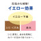 【WEB限定/送料無料】初回限定 エクセレントミルキーファンデーション