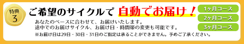 定期オトク便