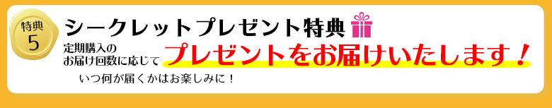 定期オトク便